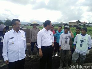 Mentan Minta Bawang di Sumatera Barat Jangan Dikirim ke Jawa