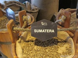 Tahun Baru di Bali, Coba Wisata Kopi