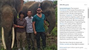 Foto Deretan Selebriti Dunia yang Peduli Alam Leuser