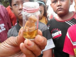Geger Tuyul Tertangkap di Kaliwungu Jateng, Ternyata Boneka ET