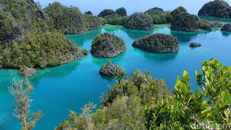 Ilustrasi Raja Ampat (Randy/detikTravel)