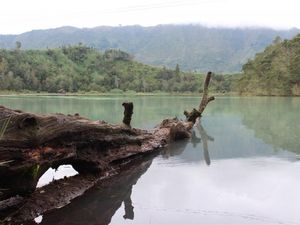 Dieng Pesona Jateng yang Tak Pernah Padam
