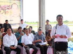 Lewati La Nina dan El Nino, RI Tak Impor Pangan Strategis