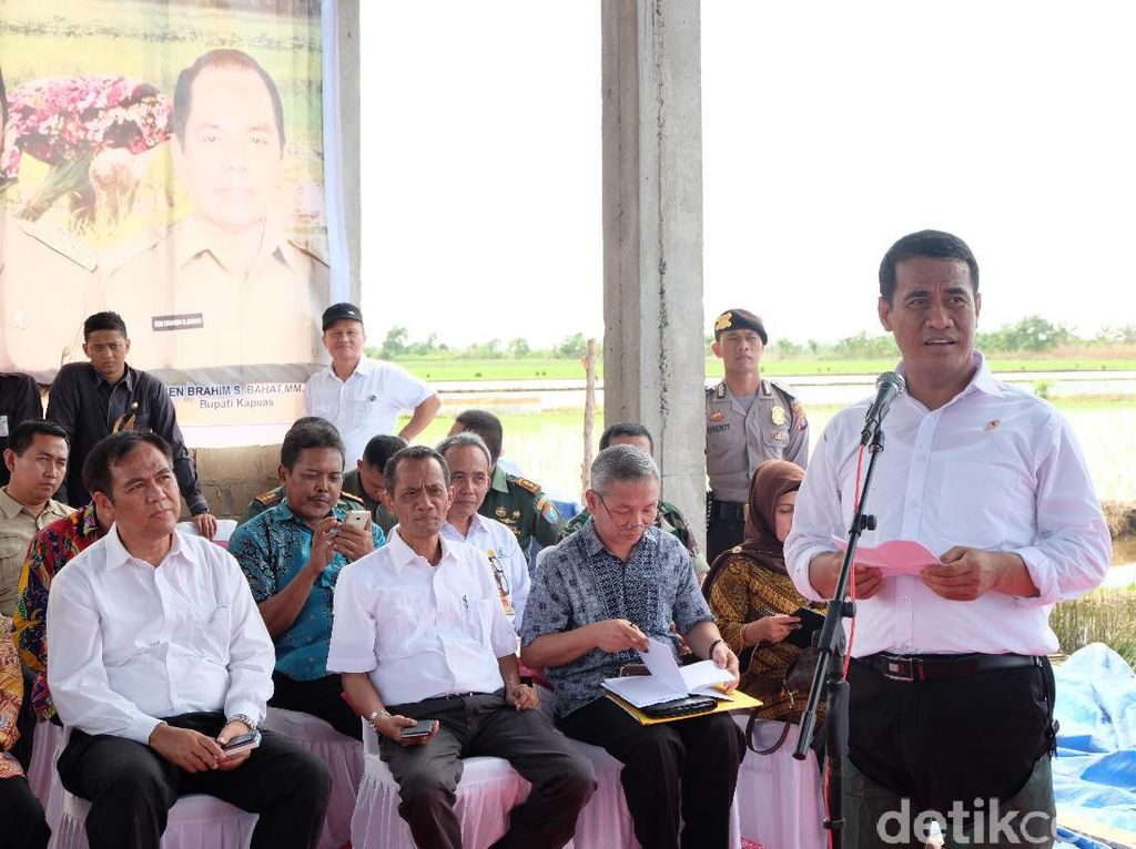 Lewati La Nina dan El Nino, RI Tak Impor Pangan Strategis Lewati La Nina dan El Nino, RI Tak Impor Pangan Strategis