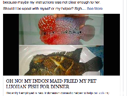 Viral PRT Indonesia di Singapura Masak Lou Han Majikan, Ternyata Kisah Satire