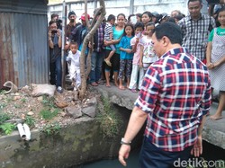 Atasi Banjir di Ragunan, Ahok Janji Tak Akan Gusur Warga