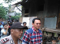 Ahok: Plt Gubernur DKI Sudah Konsultasi soal Perombakan SKPD
