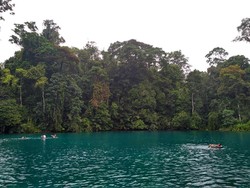 Tahun Baru di Berau, Wakil Ketua MPR Promosikan Pariwisata Lokal