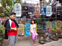 Sebelum Pesta Tahun Baru, Main Dulu ke Pasar Satwa Yogya