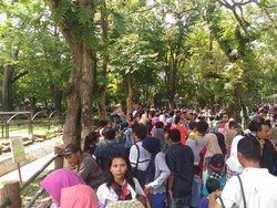 Pengunjung KBS Membludak di Hari Pertama Tahun Baru