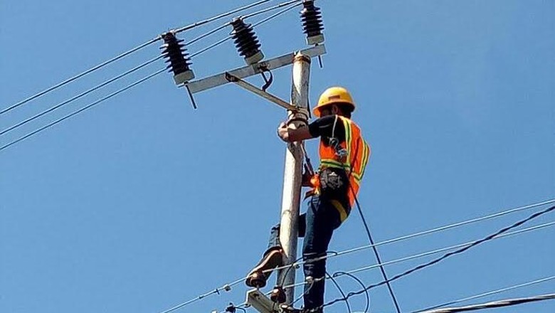 Cerita PLN Tembus Rawa Demi Melistriki Desa Terpencil di Kalteng