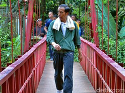 Jokowi Awali Tahun 2017 dengan Jogging di Kebun Raya Bogor