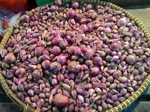 Harga Bawang Merah Naik Jadi Rp 45.000/Kg Akibat Banjir
