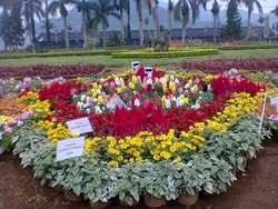 Liburan yang Berbunga-bunga di Cianjur