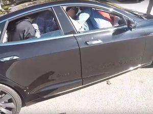 19 Orang Sesaki Kabin Tesla Model S