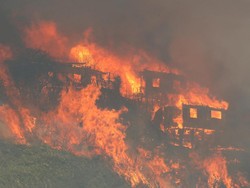 100 Rumah Hangus Akibat Kebakaran Besar di Chile