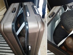 Demi Tembus Wilayah Spanyol, Migran Afrika Bersembunyi di Koper