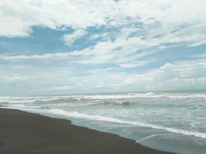 Pantai Goa Cemara Rumah Penyu Hijau dan Penyu Lekang Pantai Goa Cemara Rumah Penyu Hijau dan Penyu Lekang