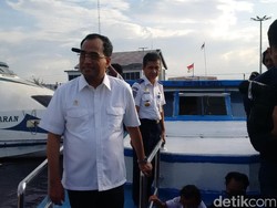 RI Bentuk Tim Khusus Tangani Persiapan Proyek Pelabuhan Patimban