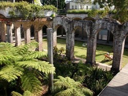Kebun Waduk Paddington, Oasis di Tengah Kota Sydney