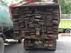 Pembalakan Liar Kembali Terjadi di Cagar Biosfer di Riau