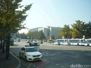 Korea Selatan dan Masifnya Pejuang Tidur Korea Selatan dan Masifnya Pejuang Tidur