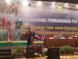 Mentan: Kalau Ini Dilakukan, Persoalan Harga Cabai Selesai