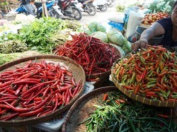 Harga Cabai di Yogyakarta Tembus Rp 75 Ribu/Kg