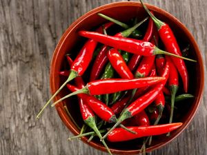 Wow! Cabe dan 2 Bumbu Ini Bisa Jadi Pembangkit Gairah Seksual Wow! Cabe dan 2 Bumbu Ini Bisa Jadi Pembangkit Gairah Seksual