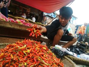 Heran, Produksi Tak Bermasalah Kok Harga Cabai Mahal?