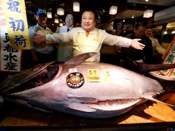 Fantastis! Tuna Bluefin 212 Kg Dilelang Rp 8 M di Jepang
