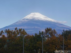 Liburan Seru di Jepang, Kunjungi 6 Destinasi Ini