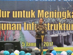 Jokowi Ajak Petani Fokus Garap Tanaman Pangan Unggulan