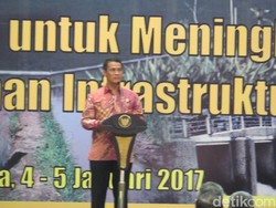 Mentan Targetkan 3 Juta Sapi Bunting di 2017