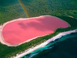 Bukan Photoshop, Ini Danau Pink Sungguhan