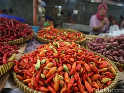 Hari Ini, Harga Cabai Rawit di Denpasar Turun Jadi Rp 49 Ribu Per Kilo