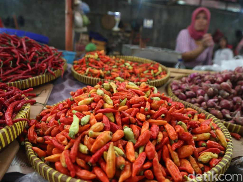 Hari Ini, Harga Cabai Rawit di Denpasar Turun Jadi Rp 49 Ribu Per Kilo Hari Ini, Harga Cabai Rawit di Denpasar Turun Jadi Rp 49 Ribu Per Kilo