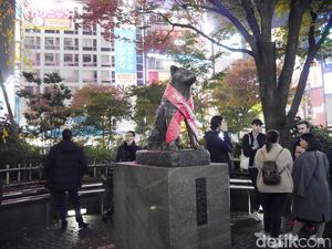 Foto Langka! Saat-saat Terakhir Anjing Hachiko