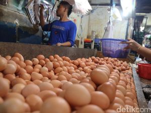 Akhir Juli Ini Harga Telur-Daging di Bandung Diprediksi Normal