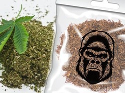Kata Dokter Soal Ekstrak Dagga di Tembakau Gorilla yang Memabukkan
