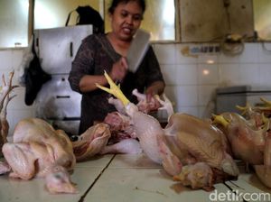 Mengulas Prospek Bisnis Ayam Potong di Tahun Ayam Api