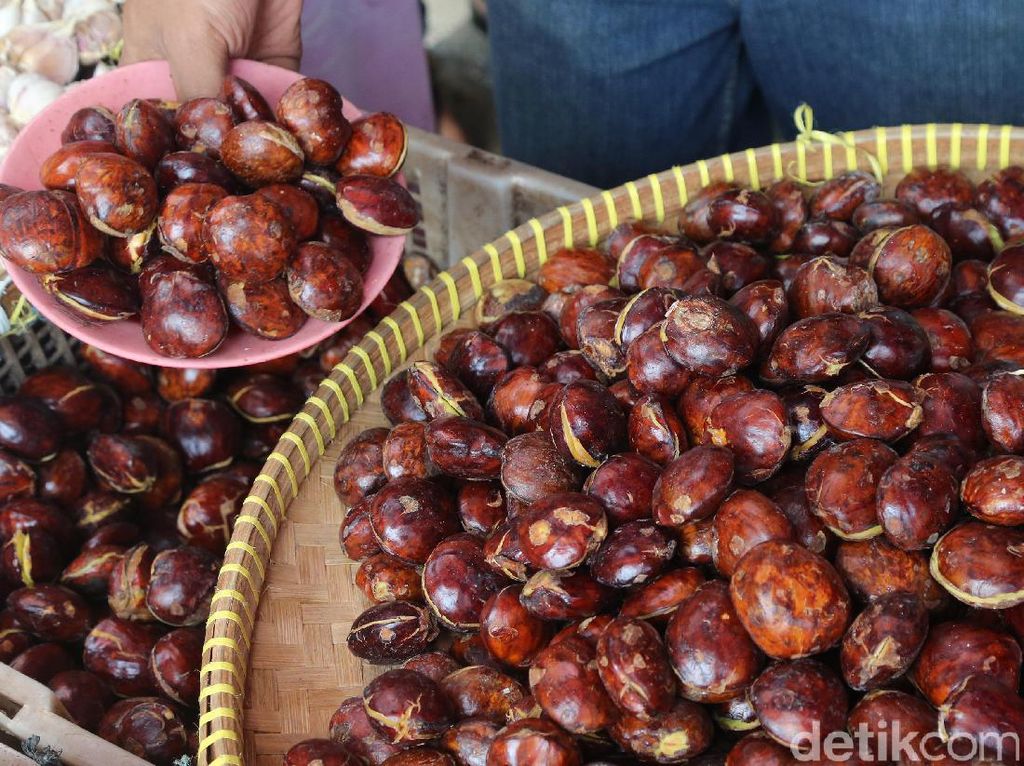 Harga Jengkol Rp 50.000/Kg, Bisa Naik Jelang Puasa? Harga Jengkol Rp 50.000/Kg, Bisa Naik Jelang Puasa?