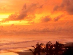 2 Pekan Hilang di Pantai Purworejo, Jasad Taufik Ditemukan di Banyuwangi