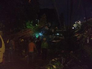 Diterpa Hujan dan Angin Kencang, Pohon Beringin Tumbang di Menteng