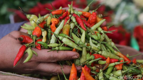 Pedasnya Harga Cabai Rawit
