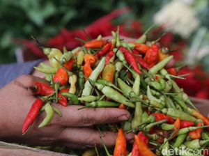 Darmin: Harga Cabai Naik Karena Terlalu Banyak Hujan