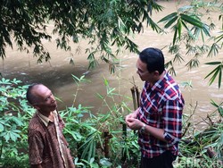 Ahok: Kali Ciliwung yang Ada Batu Cadasnya Tak Boleh Diturap