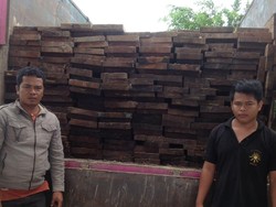 Polres Pelalawan Amankan 3 Truk Bermuatan Kayu Ilegal