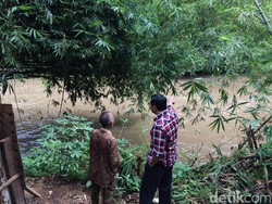 Ahok Blusukan di Wilayah Banjir, Warga Minta Tak Digusur