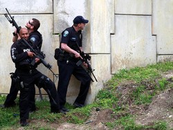 Kepanikan Penumpang dan Serangan Star Wars di Bandara Florida